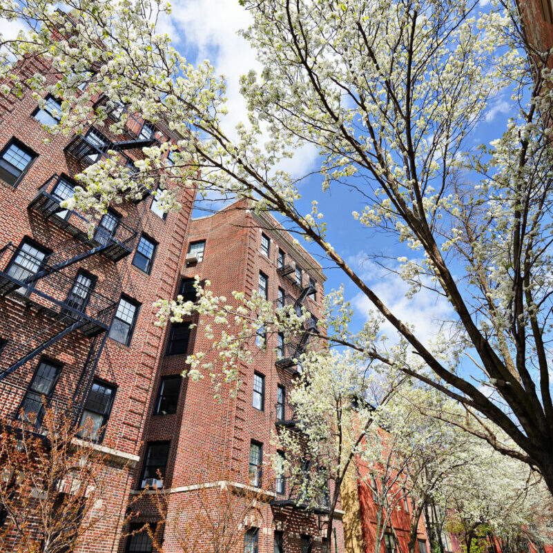 Rental Apartment
